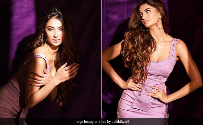 Palak Tiwari Is Smitten By Her Lovely Lilac Dress And Honestly, So Are We