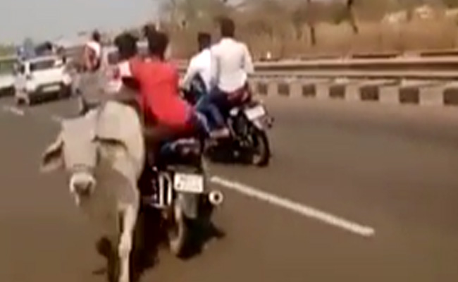 18-Year-Old In Bhim Army Chief's Convoy Killed After Motorcycle Hits Cow