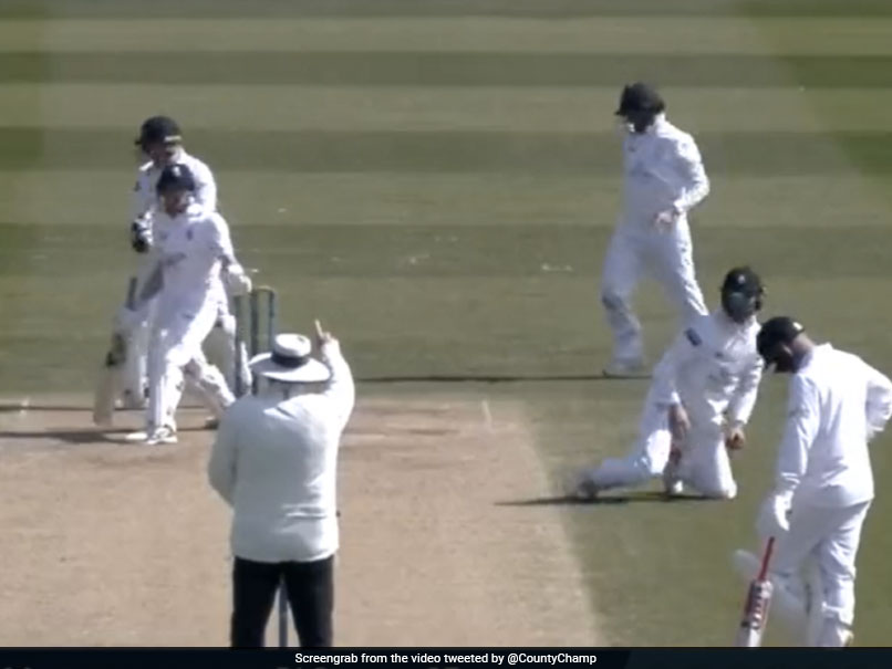 Watch: Umpire's Shocking Decision To Give Batter Out In County Match Goes Viral