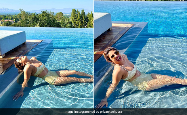 With Priyanka Chopra In A Gingham Swimsuit, Summer Days In The Pool Haven't Ever Looked So Good
