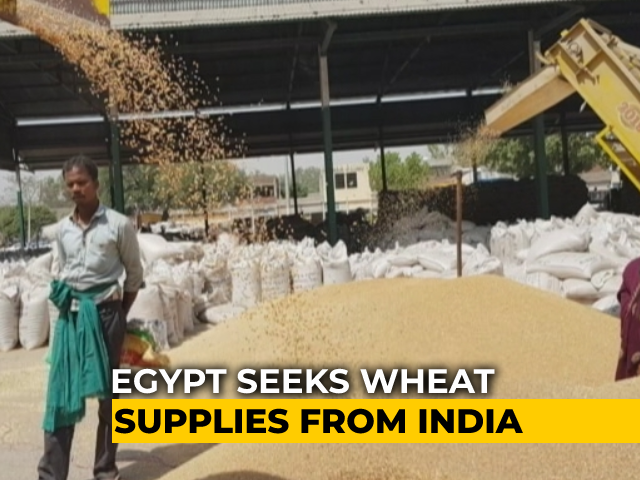 As Russia-Ukraine War Rages On, Egypt Seeks Wheat Supplies From India