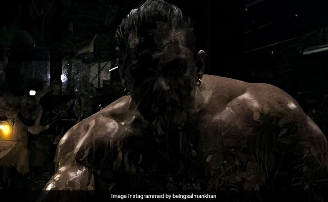 Salman Khan Breaks The Internet With His Shirtless Photo. Like Literally