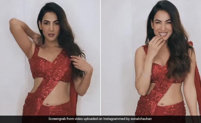 The Only Red Hot Chili Pepper In Town Is Sonal Chauhan In A Glitzy <i>Saree</i>