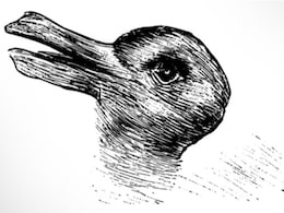 इस तस्वीर में छिपा है एक जानवर, 90 फीसदी लोगों की नज़रें खा चुकी हैं धोखा इस तस्वीर में छिपा है एक जानवर, 90 फीसदी लोगों की नज़रें खा चुकी हैं धोखा