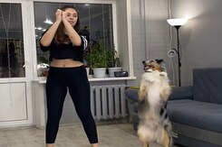 मालकिन के साथ-साथ वर्कआउट करता है ये होशियार कुत्ता, एकसाथ किए कई सिट-अप्स मालकिन के साथ-साथ वर्कआउट करता है ये होशियार कुत्ता, एकसाथ किए कई सिट-अप्स