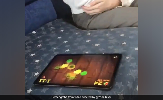 Viral Video: "Ninja Kitty" Plays Game On Tablet, Internet Gives Thumbs Up