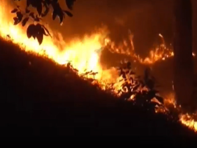 Forest Fires Flare Up In Uttarakhand