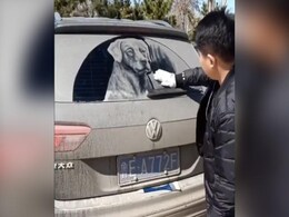 गाड़ी में जमी धूल से बनी है ये पेंटिंग, आर्टिस्ट की कला देख आप अपनी गाड़ी को कभी नहीं धुलेंगे गाड़ी में जमी धूल से बनी है ये पेंटिंग, आर्टिस्ट की कला देख आप अपनी गाड़ी को कभी नहीं धुलेंगे
