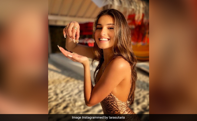 In The Maldives, Tara Sutaria Made A New Friend. Meet...