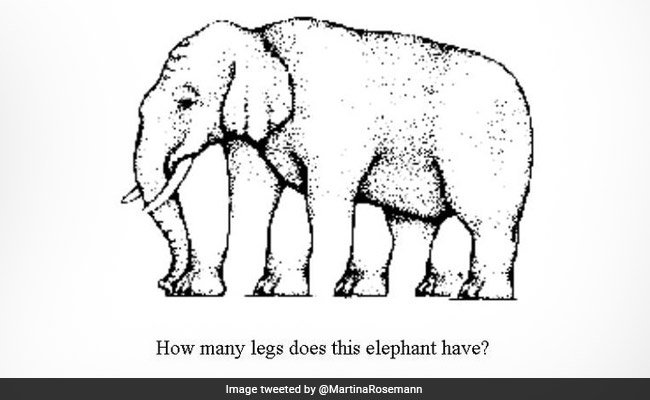 इस तस्वीर में आपको हाथी के कितने पैर दिखे 4 या 5 ? लोगों का चकराया सिर, फिर भी नहीं दे पाए सही जवाब