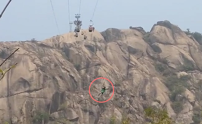 On Camera, Woman Hanging On To Rope Falls, Dies During Jharkhand Rescue