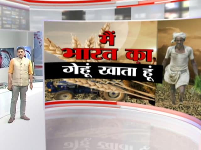 खबरों की खबर : अब भारत भरेगा दुनिया का पेट! दुनिया में गेहूं संकट की वजह क्या है?