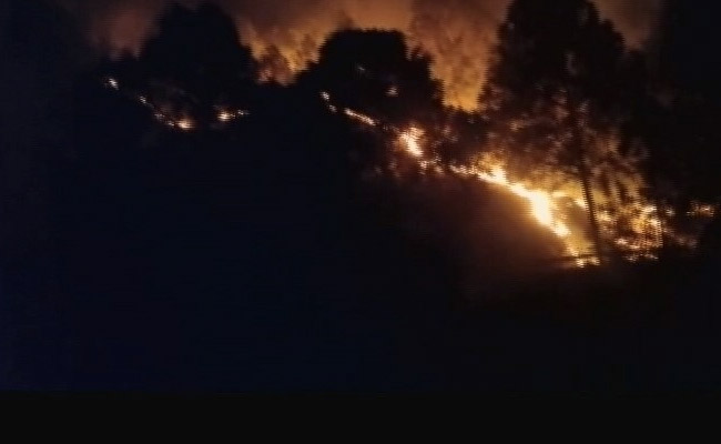 Massive Fire In Forest In Uttarakhand, Some Animals, Birds Charred To Death