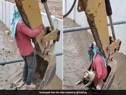 Video: Construction Crew in Ecuador Praised For Rescuing Dog From Canal Video: Construction Crew in Ecuador Praised For Rescuing Dog From Canal