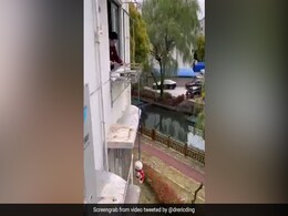 COVID-19: Videos Show Locked Down Shanghai A "Ghost Town" Now, Internet Shocked COVID-19: Videos Show Locked Down Shanghai A "Ghost Town" Now, Internet Shocked