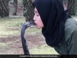 देखें वायरल वीडियो: ख़तरनाक सांप को किस कर रही थी ये लड़की, तभी कुछ ऐसा हुआ... देखें वायरल वीडियो: ख़तरनाक सांप को किस कर रही थी ये लड़की, तभी कुछ ऐसा हुआ...