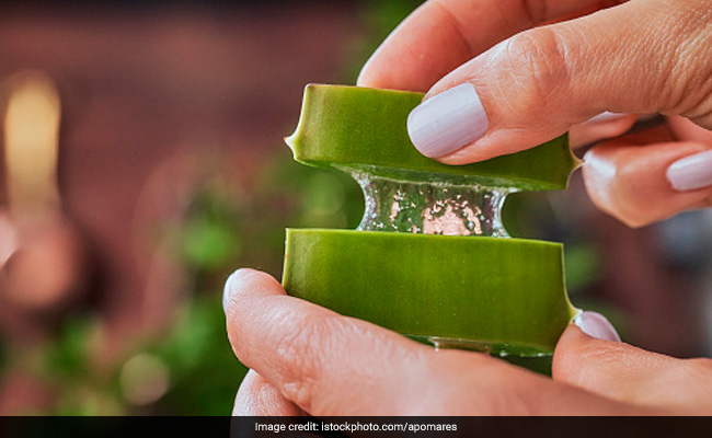 स्किन ही नहीं सेहत के लिए भी अच्छा है एलोवेरा, जानिए शरीर को Aloe Vera से मिलने वाले फायदों के बारे में  स्किन ही नहीं सेहत के लिए भी अच्छा है एलोवेरा, जानिए शरीर को Aloe Vera से मिलने वाले फायदों के बारे में