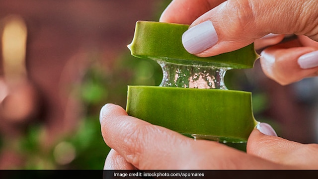 Aloe Vera is rich in numerous vitamins that promote better cell health in the hair
