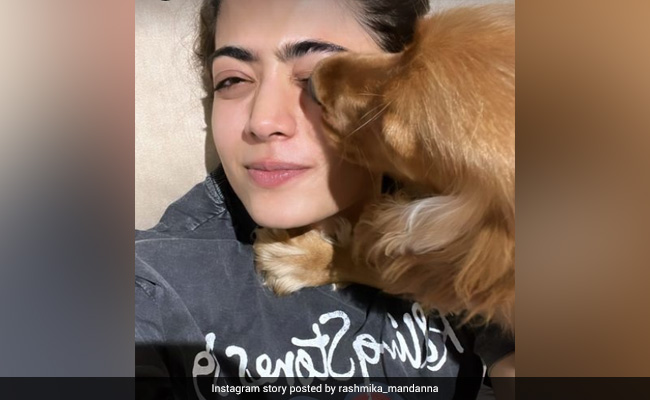 Umm, Rashmika Mandanna Has "Aura Saliva As A Face Mask"