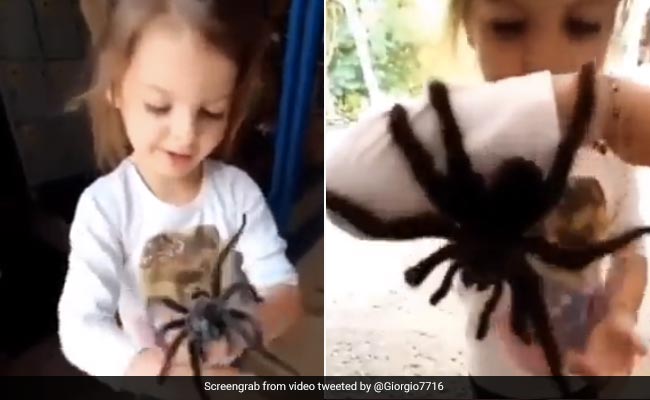 क्या आपने कभी 'स्पाइडर गर्ल' देखी है, अगर नहीं तो देख लीजिए यह शानदार Video