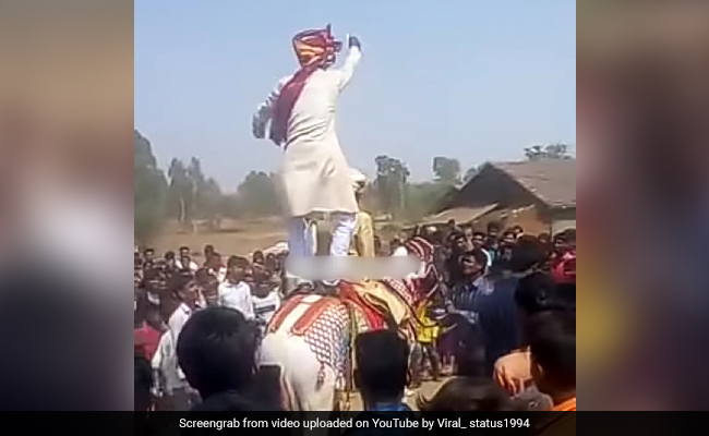 शादी में जा रहे दूल्हे ने घोड़ी पर चढ़ किया ऐसा डांस की गिरे धड़ाम, वीडियो देख हो जाएंगे लोटपोट