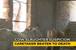 Delhi Farmhouse Caretaker Beaten To Death Over Cow Slaughter Suspicion Delhi Farmhouse Caretaker Beaten To Death Over Cow Slaughter Suspicion