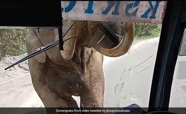 Windshield Of Kerala Bus Cracks During Elephant Encounter, Driver Maintains His Cool
