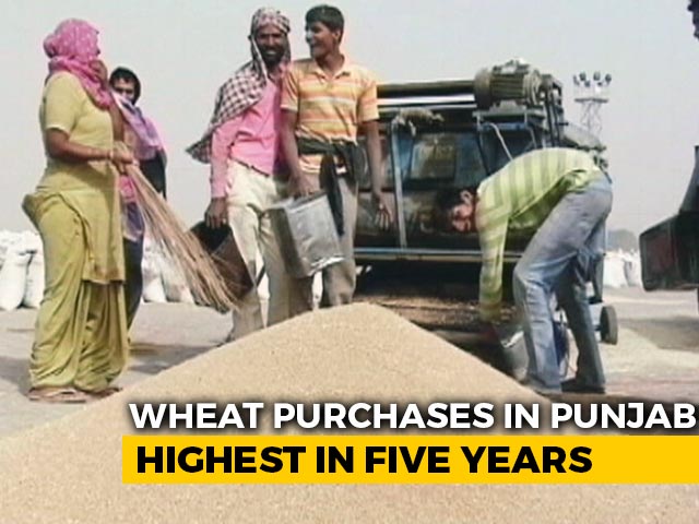 How Russia-Ukraine War Is Impacting Punjab's Wheat Sales