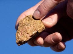 EV Parts Maker Schaeffler Signs First Of A Kind European Rare Earth Deal