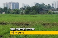 कांजुरमार्ग मेट्रो कार शेड विवाद में बॉम्बे हाइकोर्ट ने केंद्र और राज्य सरकार को लगाई फटकार  कांजुरमार्ग मेट्रो कार शेड विवाद में बॉम्बे हाइकोर्ट ने केंद्र और राज्य सरकार को लगाई फटकार