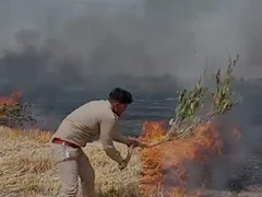 Spark From Overhead Electric Cable Destroys Tonnes Of Standing Crop In UP