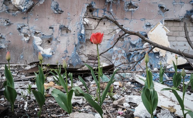 Bombs Explode Around, Yet Dark Humour Alive In Ukraine's Frontline Cellar