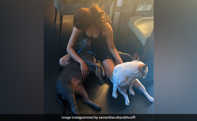 Samantha Ruth Prabhu Kicks Off The Weekend With Her Furry Friends Hash And Sasha. See Pics