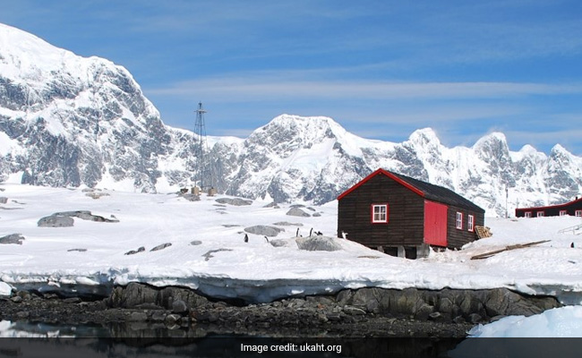 New Job Opening For Counting Penguins At Antarctic Post Office