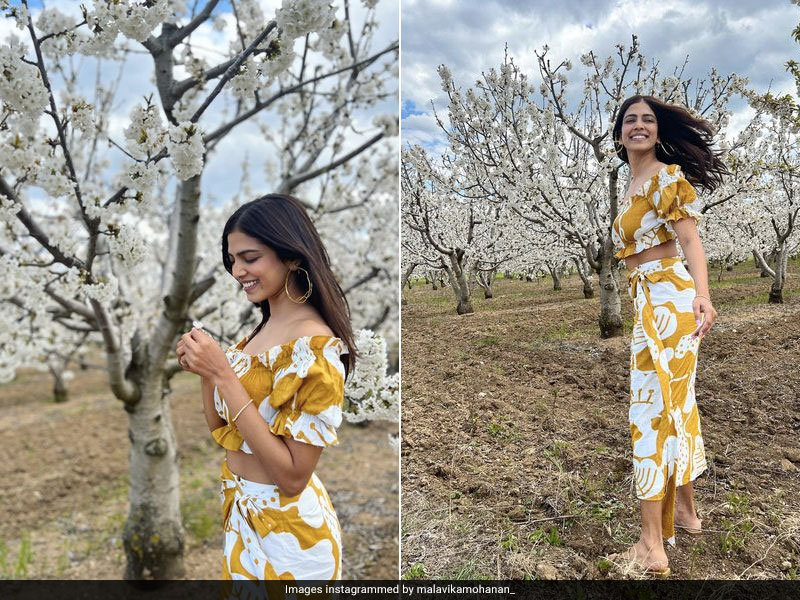Malavika Mohanan Gives A Shout-Out To Homegrown Fashion Brands In A Pretty Floral Outfit