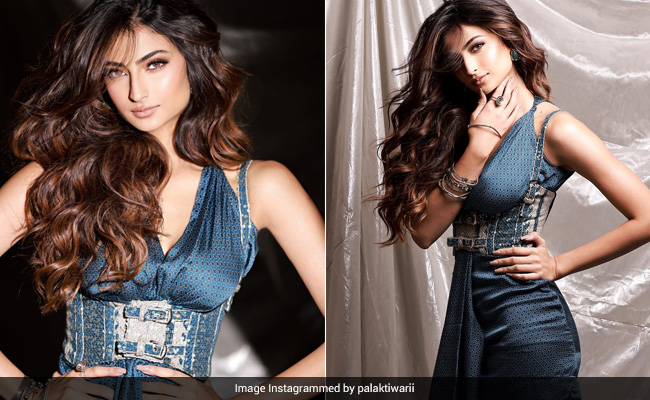 Palak Tiwari's Stylish Blue Dress Is The Cool Breeze On A Hot Summer Day