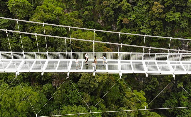 World's Longest Glass-Bottomed Bridge Opens In Vietnam