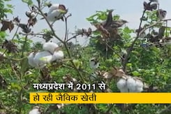 जैविक कृषि लागू करने वाले पहले राज्य मध्यप्रदेश के दावे में कितना दम? जैविक कृषि लागू करने वाले पहले राज्य मध्यप्रदेश के दावे में कितना दम?