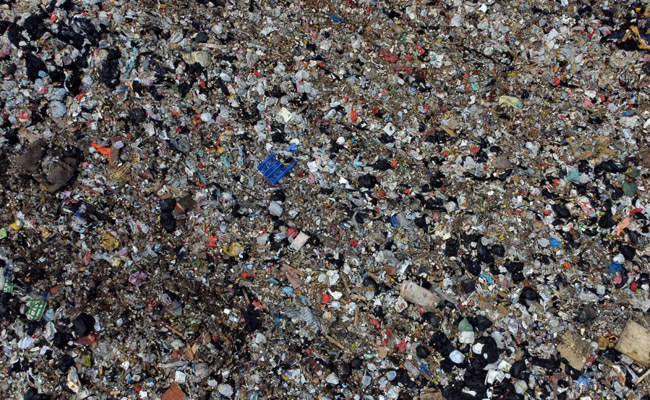 "Everything Cellophane-Wrapped": Hong Kong Covid Rules' Environment Cost