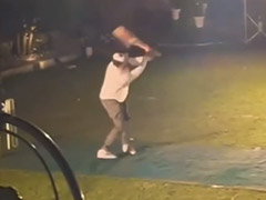 Between Shoots, Vicky Kaushal's 'Midnight Game' Of Cricket