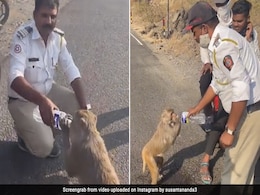 Video: बूंद-बूंद पानी को तड़प रहे बंदर की मदद के लिए आगे आया पुलिसवाला, फिर जो हुआ उसने दिल छू लिया Video: बूंद-बूंद पानी को तड़प रहे बंदर की मदद के लिए आगे आया पुलिसवाला, फिर जो हुआ उसने दिल छू लिया