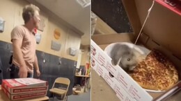 Viral: Man Pranks Friends By Attaching Fake Mouse In Pizza Box; Internet Is Amused