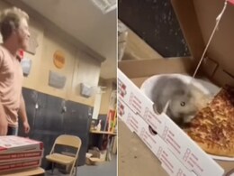 Viral: Man Pranks Friends By Attaching Fake Mouse In Pizza Box; Internet Is Amused