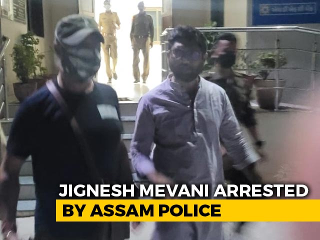 Jignesh Mevani, Dalit Leader And Gujarat MLA, Arrested By Assam Police