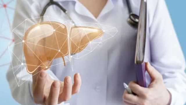 World Liver Day 2023: Follow lifestyle changes for a healthy liver