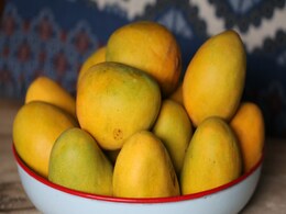 Madhya Pradesh's Noorjahan Mango, At 4 Kg, To Cost Up To Rs 2,000 Apiece Madhya Pradesh's Noorjahan Mango, At 4 Kg, To Cost Up To Rs 2,000 Apiece