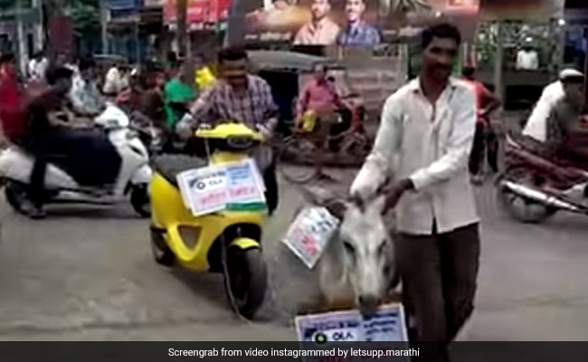 VIDEO : ई-स्कूटर को गधे से बांधकर शहर में घुमाया, कारोबारी ने विरोध का अनोखा तरीका अपनाया
