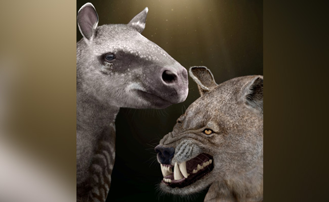 Mammals Needed Muscles More Than Brain After Asteriod Doomed Dinosaurs