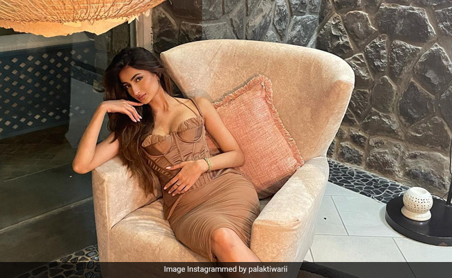 Corset Dresses Are The Trend And Palak Tiwari, The Chicest Trendsetter