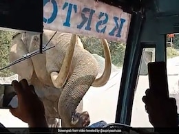 हाथी ने लोगों से भरी बस पर कर दिया हमला, पहले तोड़ा बस का शीशा, फिर जो हुआ VIDEO देख नहीं होगा यकीन हाथी ने लोगों से भरी बस पर कर दिया हमला, पहले तोड़ा बस का शीशा, फिर जो हुआ VIDEO देख नहीं होगा यकीन